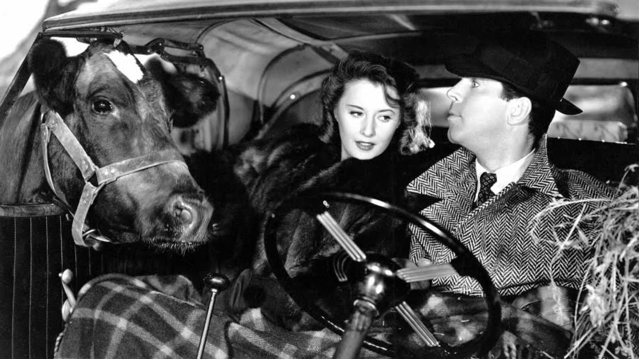 L'Aventure d'une nuit backdrop