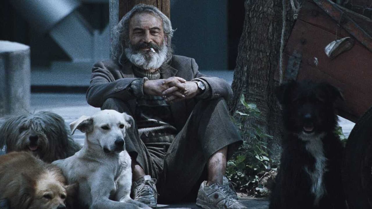 Amours chiennes backdrop