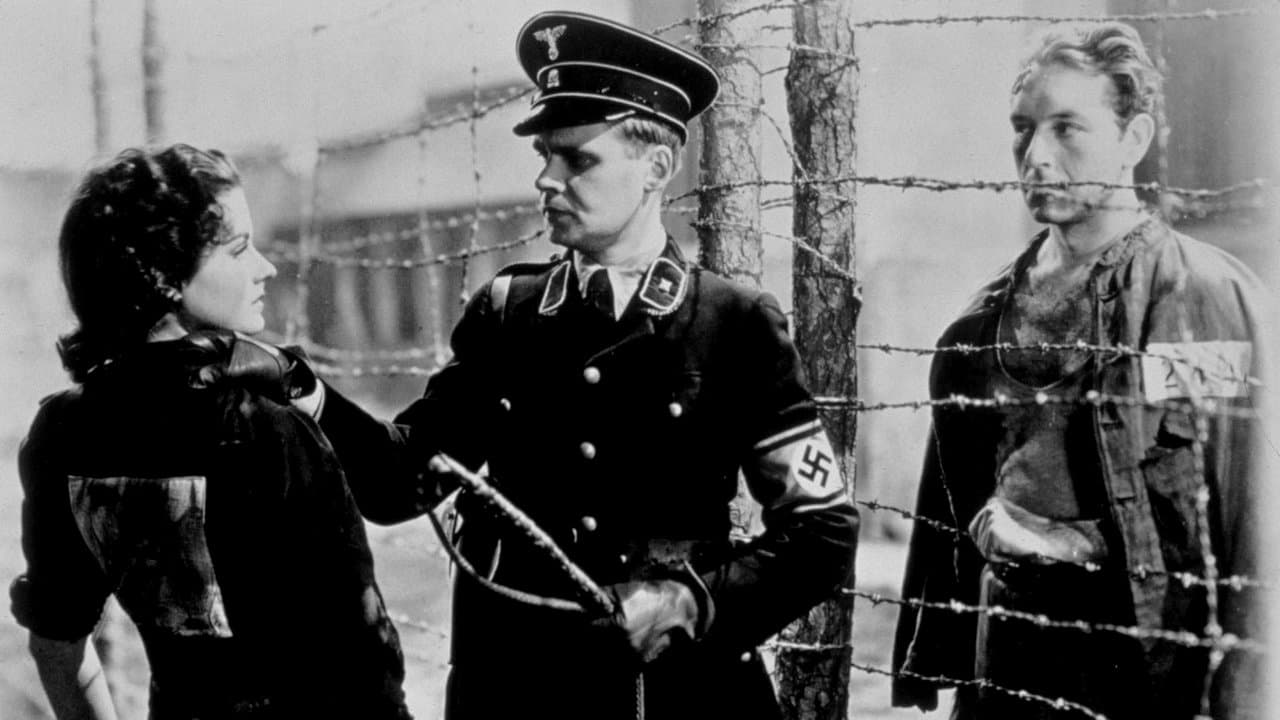 Train de nuit pour Munich backdrop