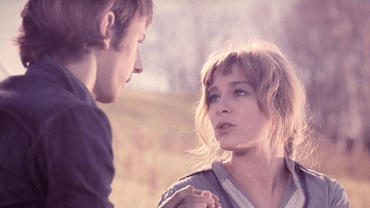 La vraie nature de Bernadette backdrop