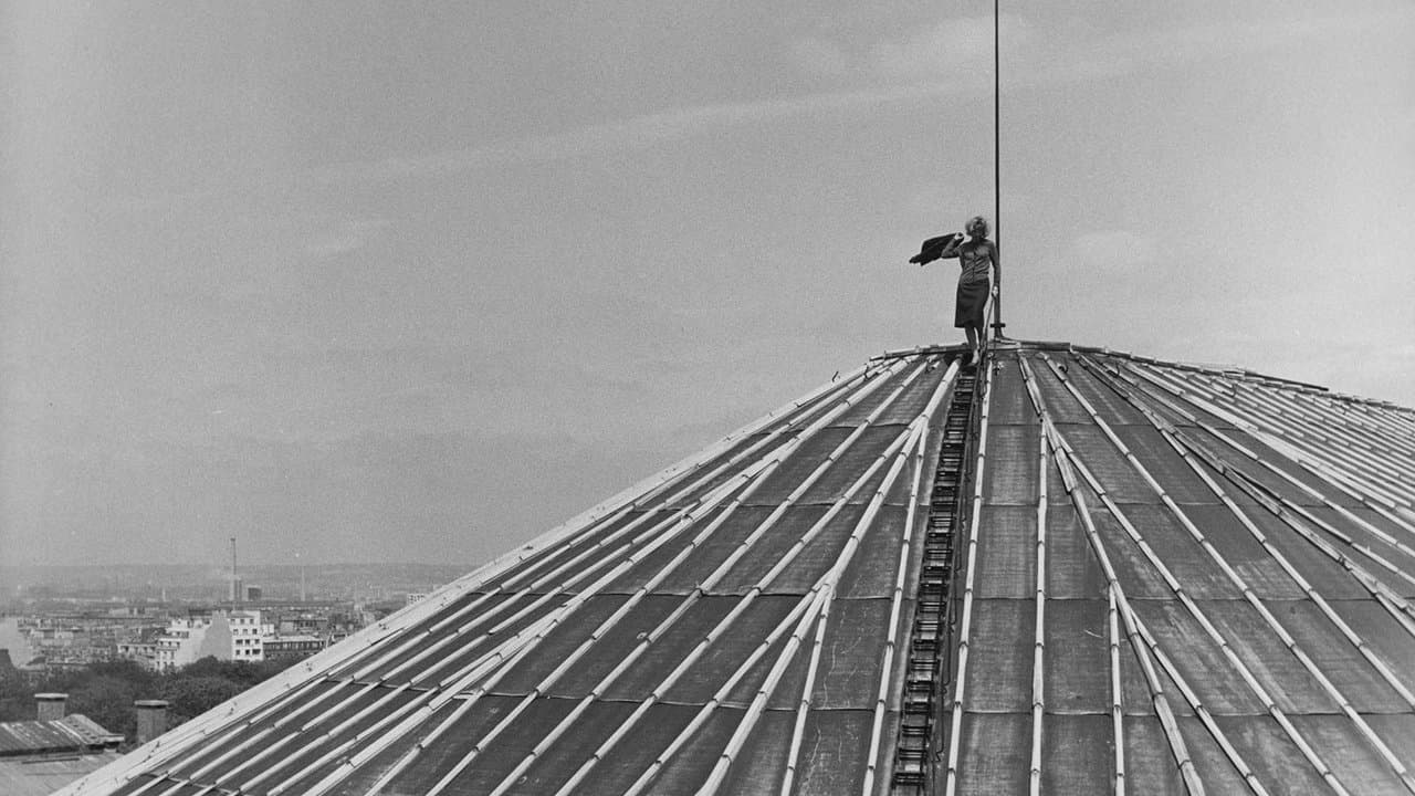 Le Joli Mai backdrop