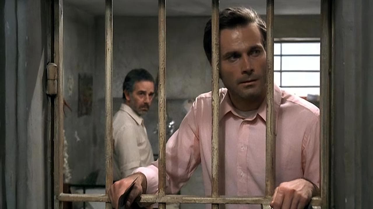 Nous sommes tous en liberté provisoire backdrop