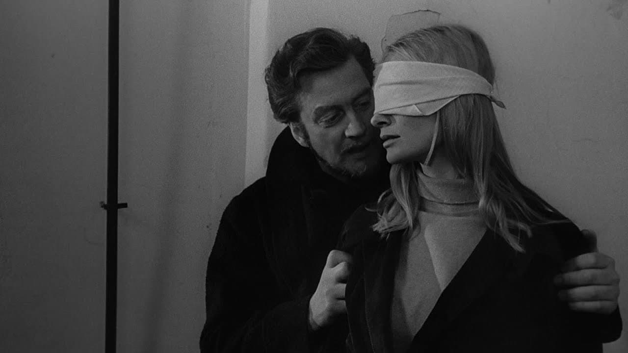 Jeux de nuit backdrop