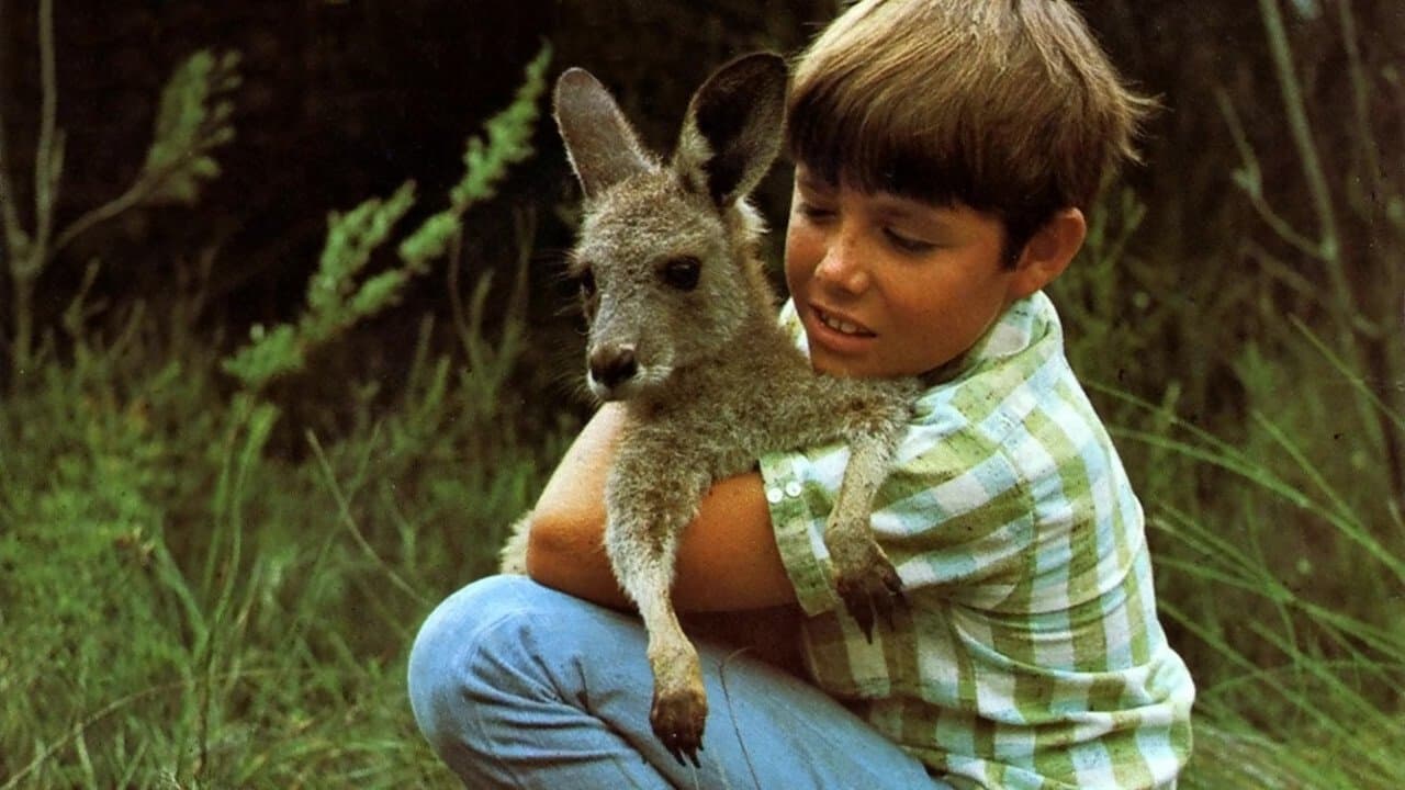 Skippy, le kangourou backdrop
