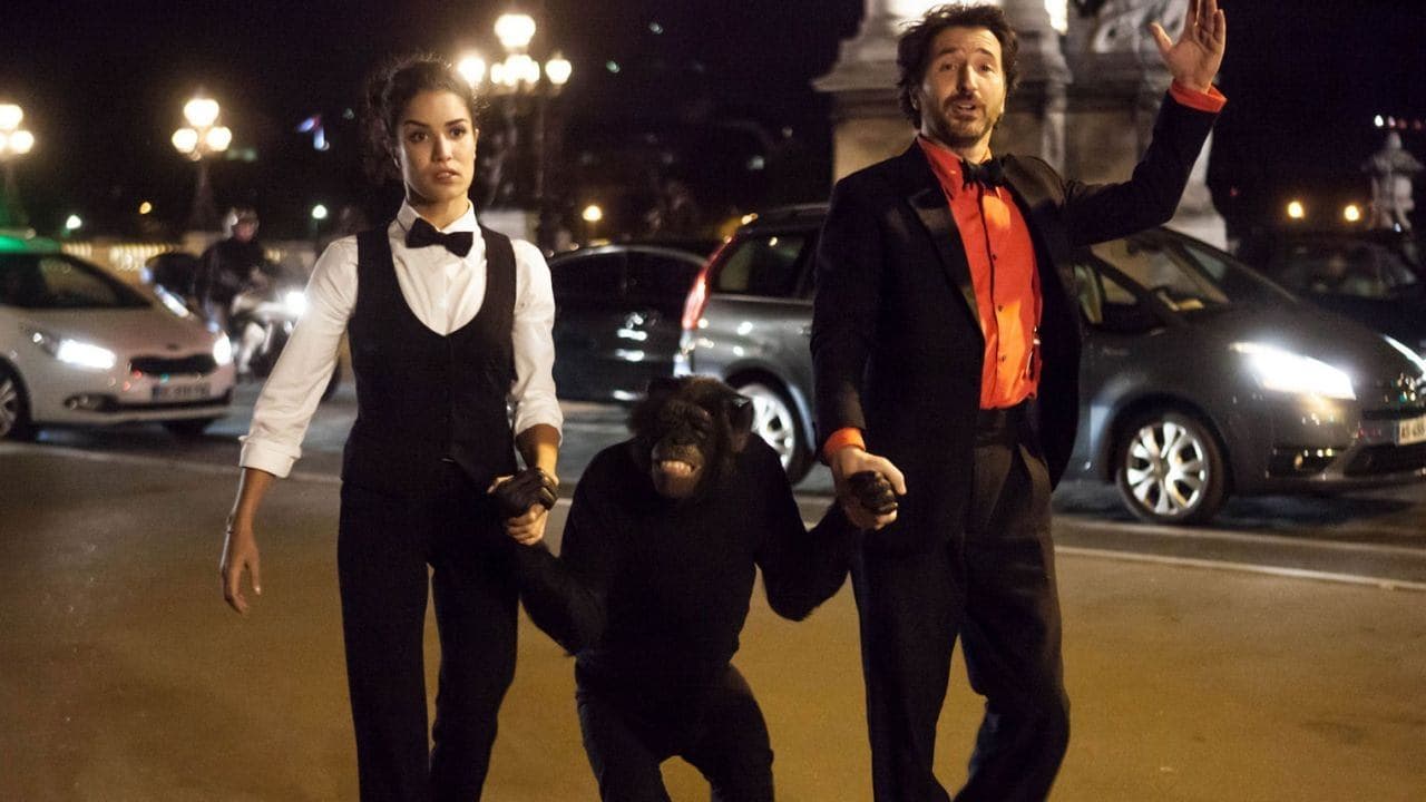 Ouvert la nuit backdrop