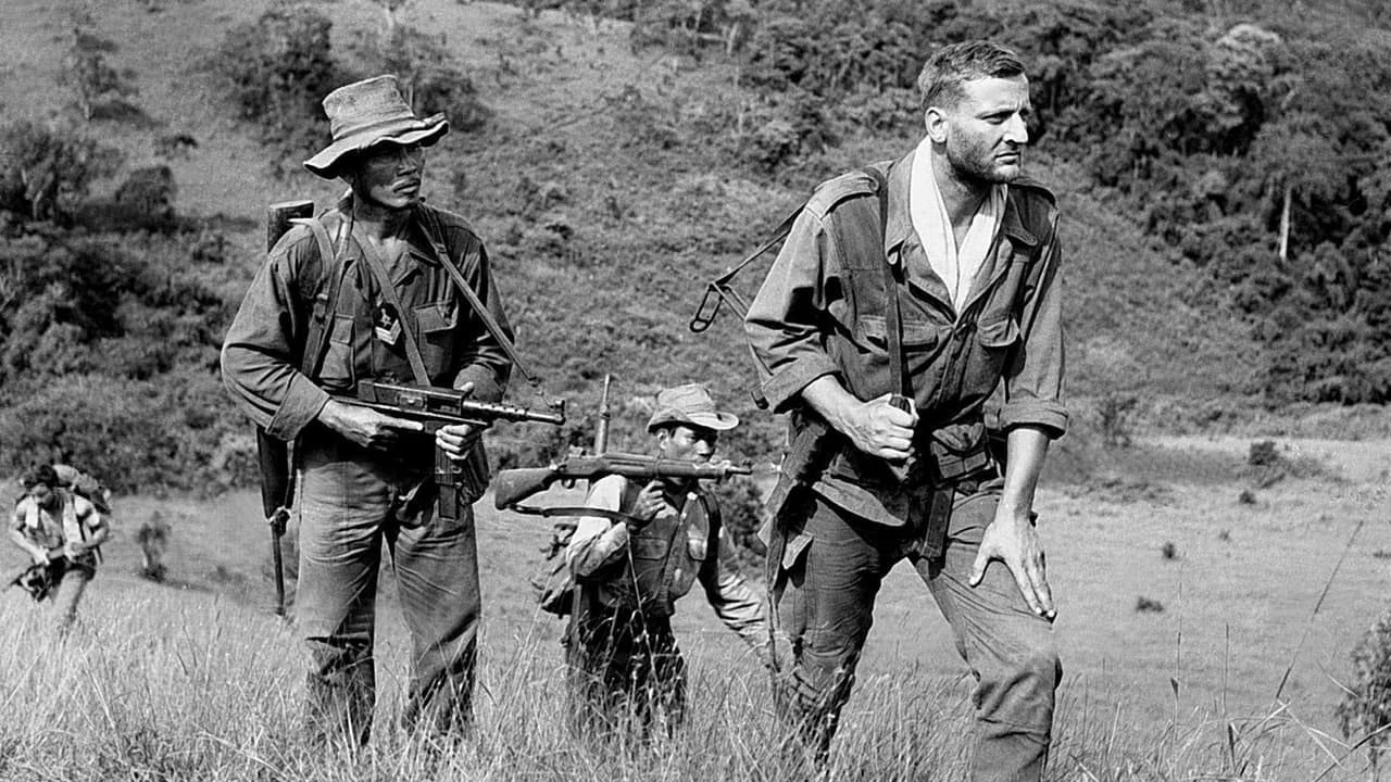 La 317ème Section backdrop