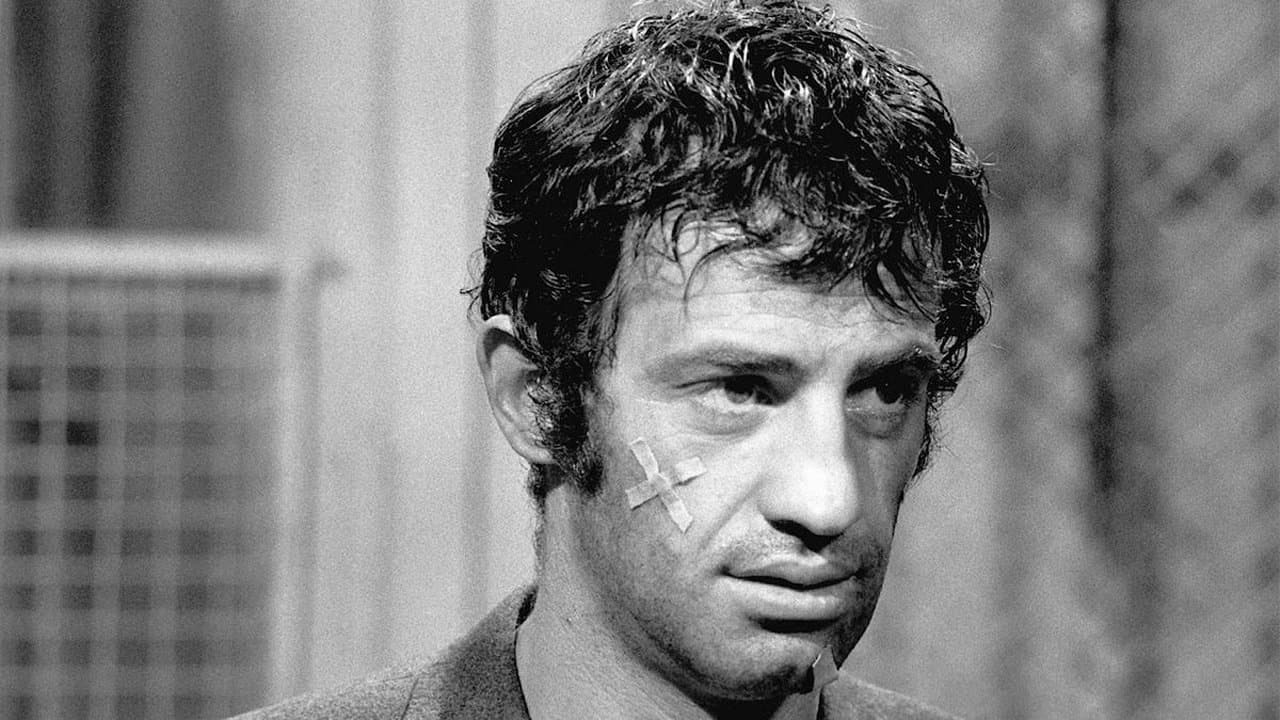 Les Copains du dimanche backdrop