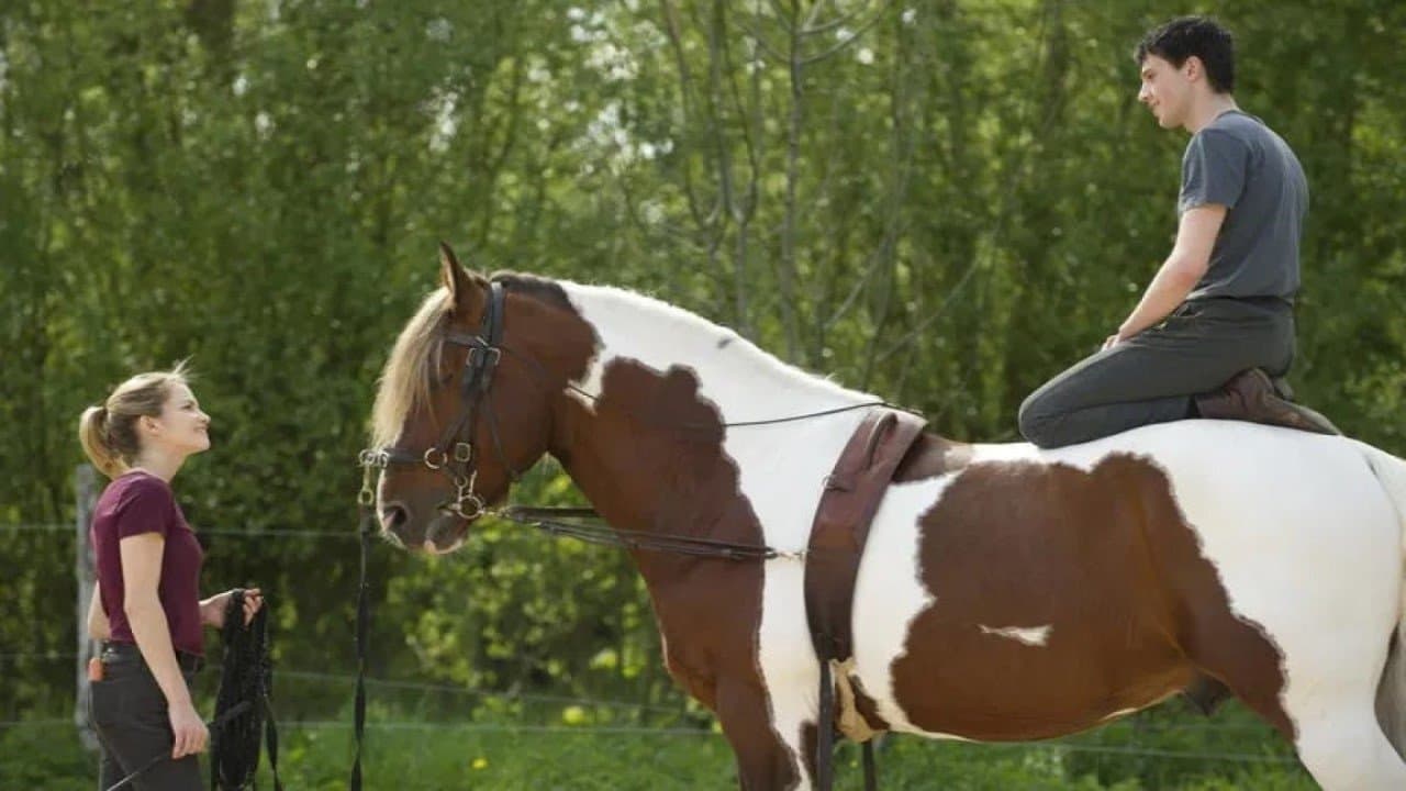 Je sais tomber backdrop