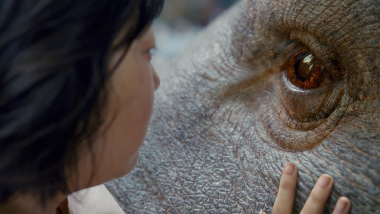 Okja backdrop