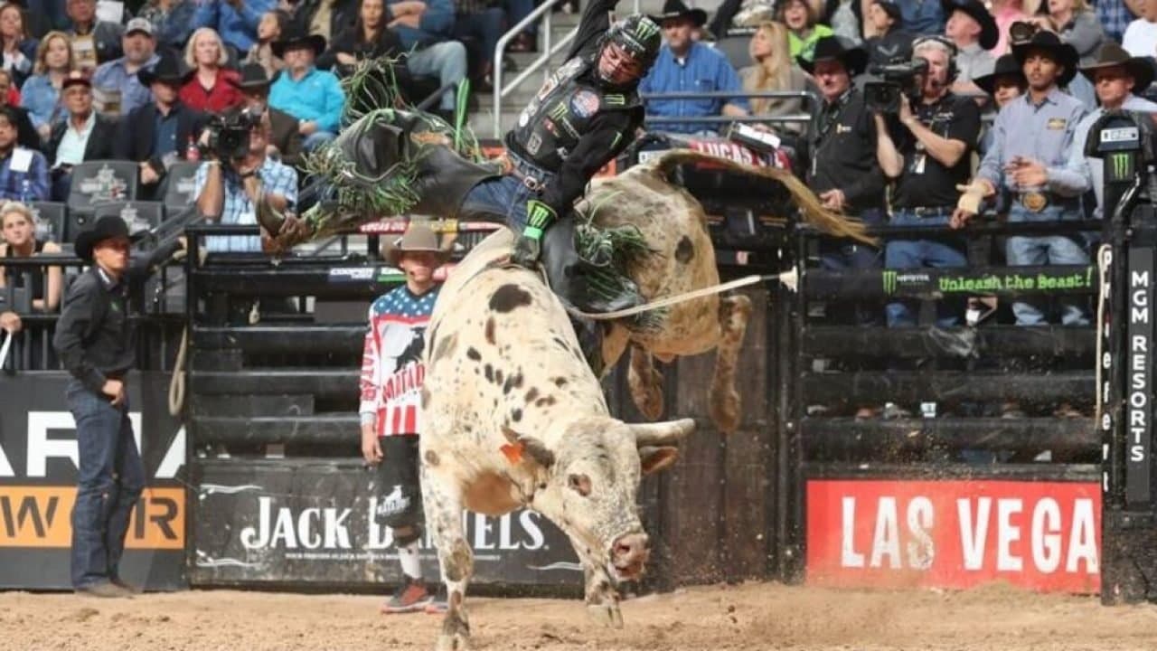 Intrépides backdrop