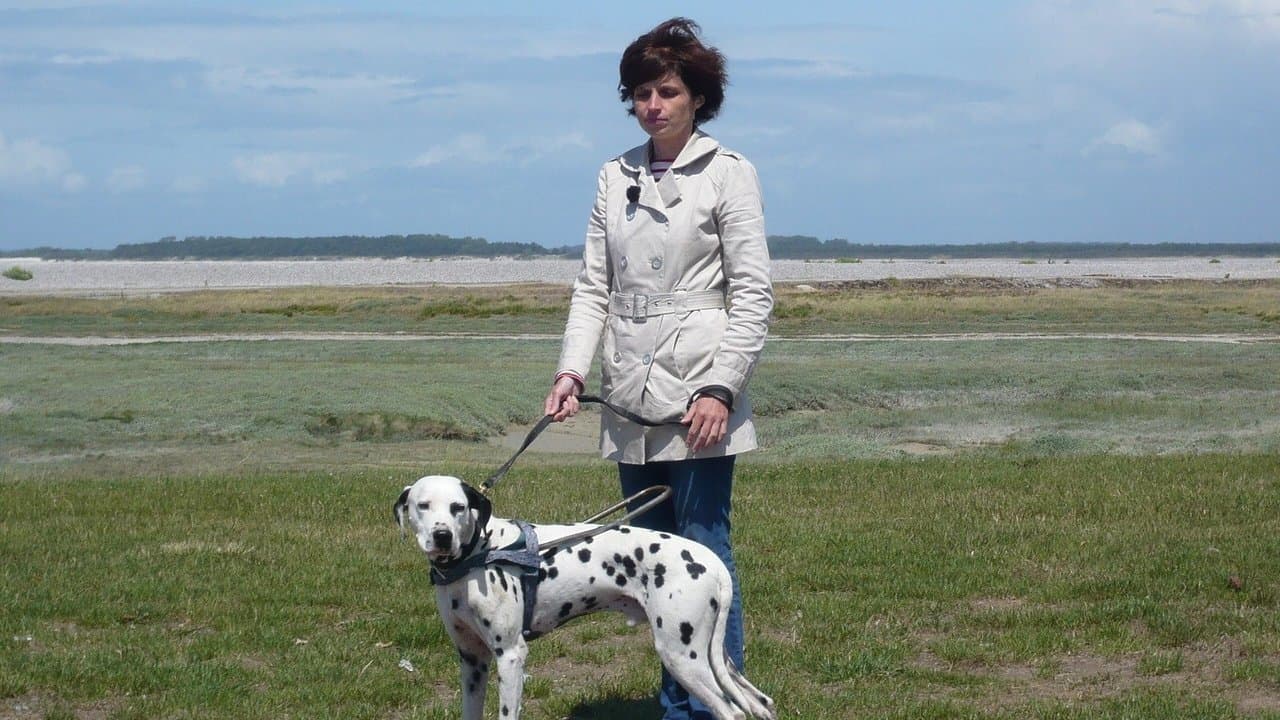 Dans tes yeux backdrop