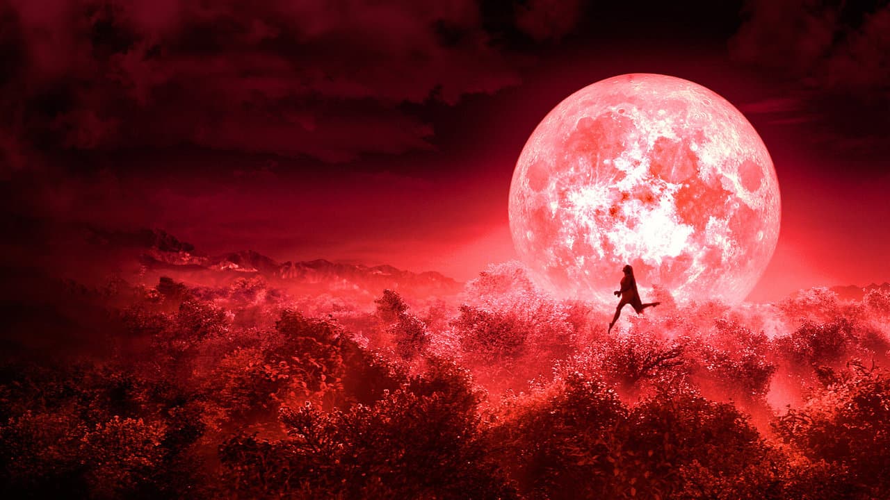 बुलबुल backdrop