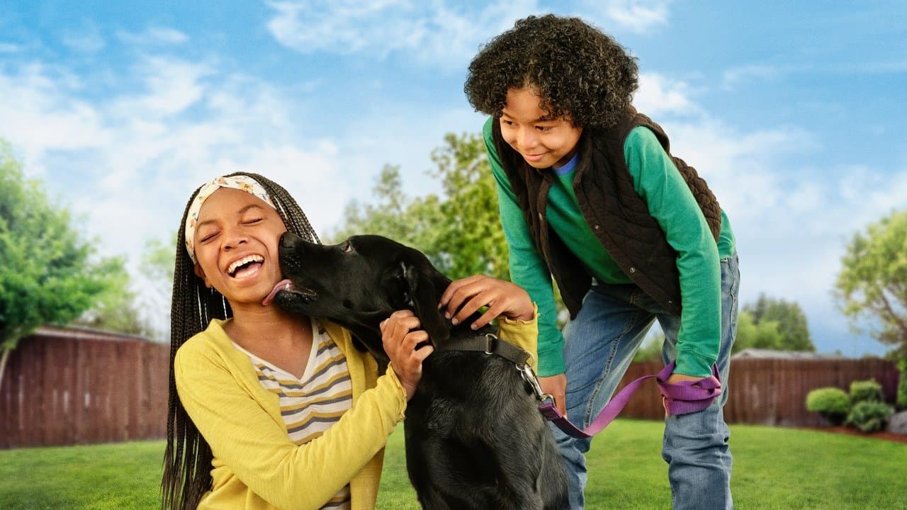 Mission : adoption backdrop