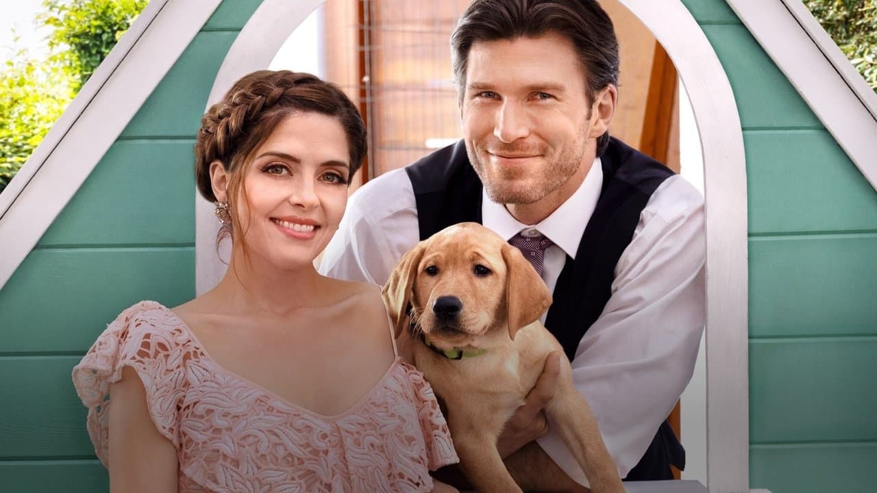 Un amour au poil backdrop