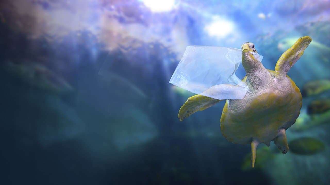 La Méditerranée : une mer de plastique backdrop