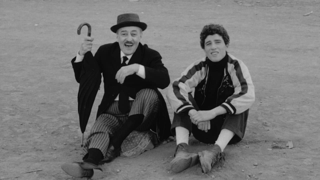 Des oiseaux, petits et gros backdrop