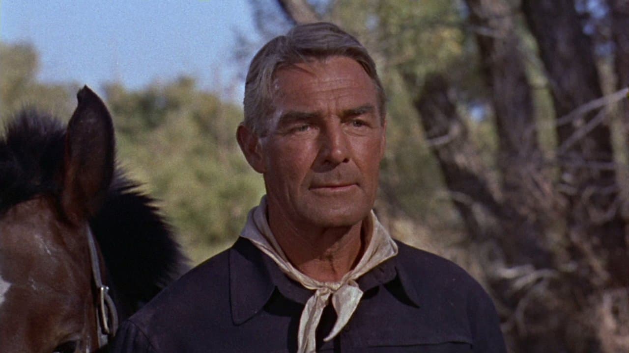 7 hommes à abattre backdrop