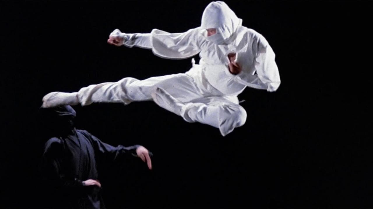 L'implacable ninja backdrop