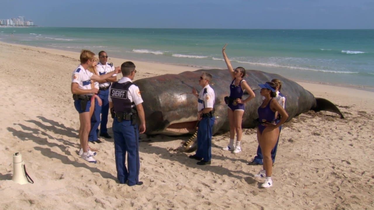 Alerte à Miami : Reno 911 ! backdrop