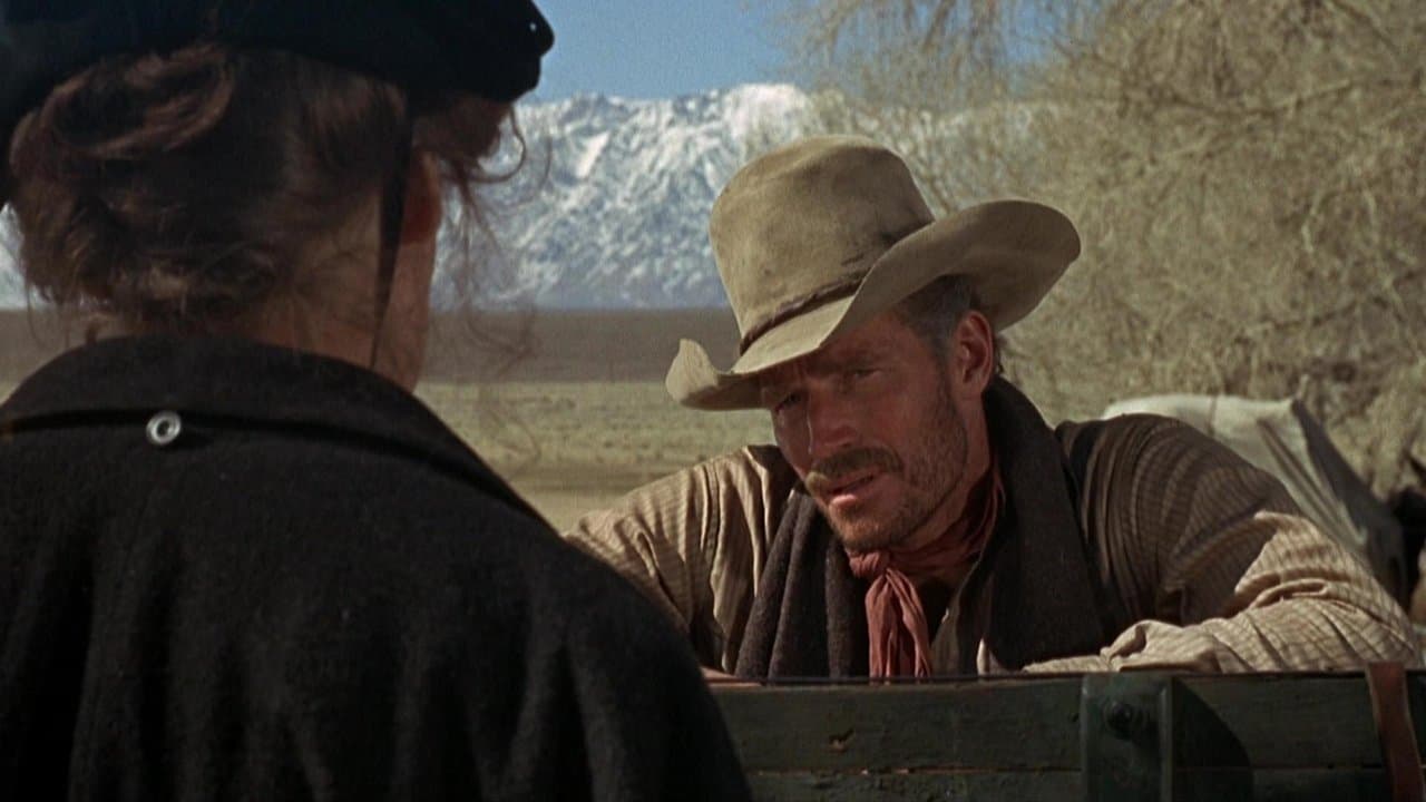 Will Penny, le solitaire backdrop