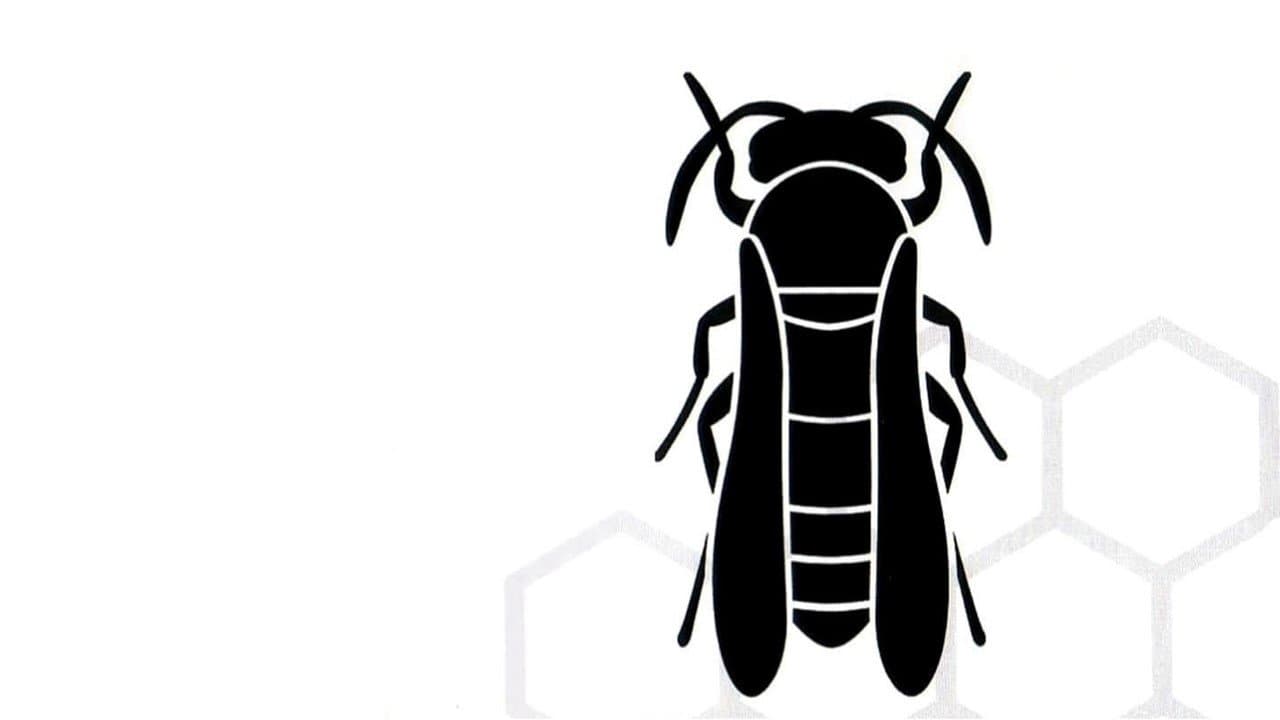 Nid de guêpes backdrop