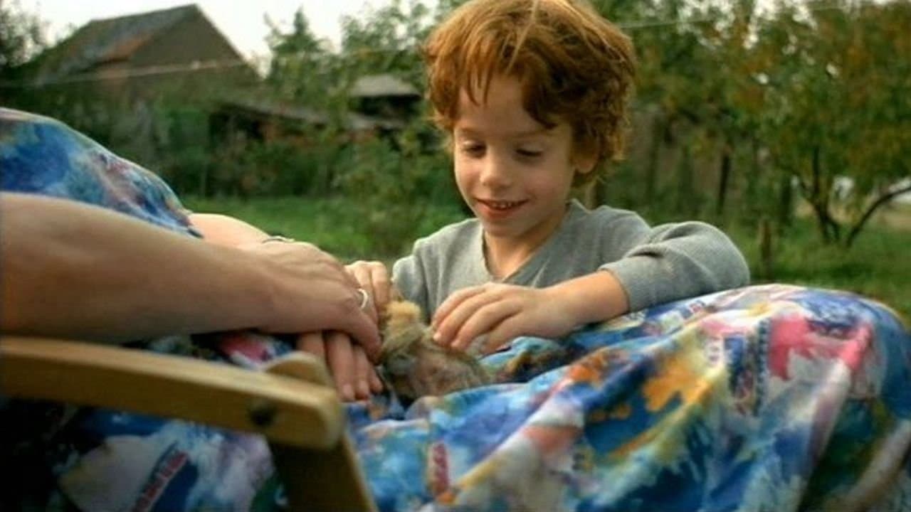 Des plumes dans la tête backdrop