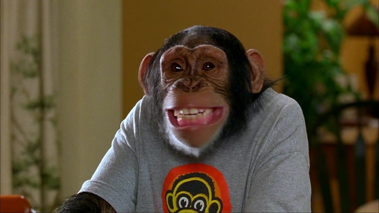 MXP: Maxi extrême primate backdrop