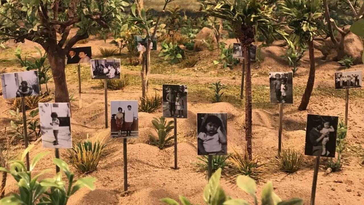 Les tombeaux sans noms backdrop