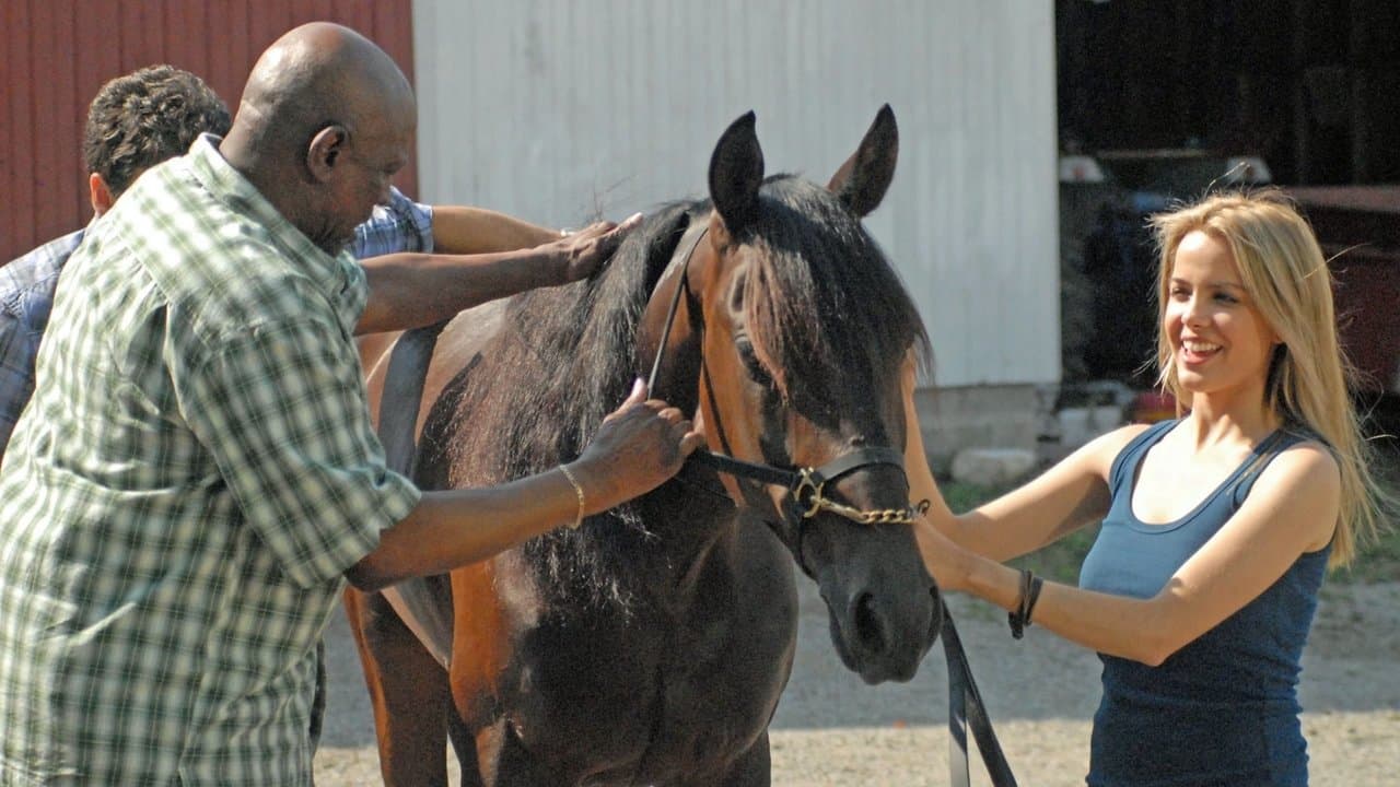 La Course d'une vie backdrop