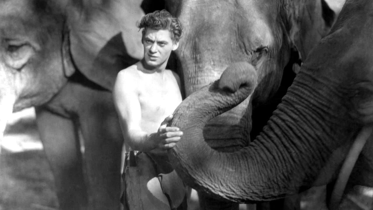 Tarzan, l'homme singe backdrop