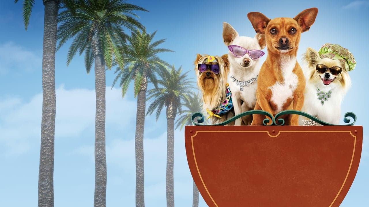 Le Chihuahua de Beverly Hills backdrop