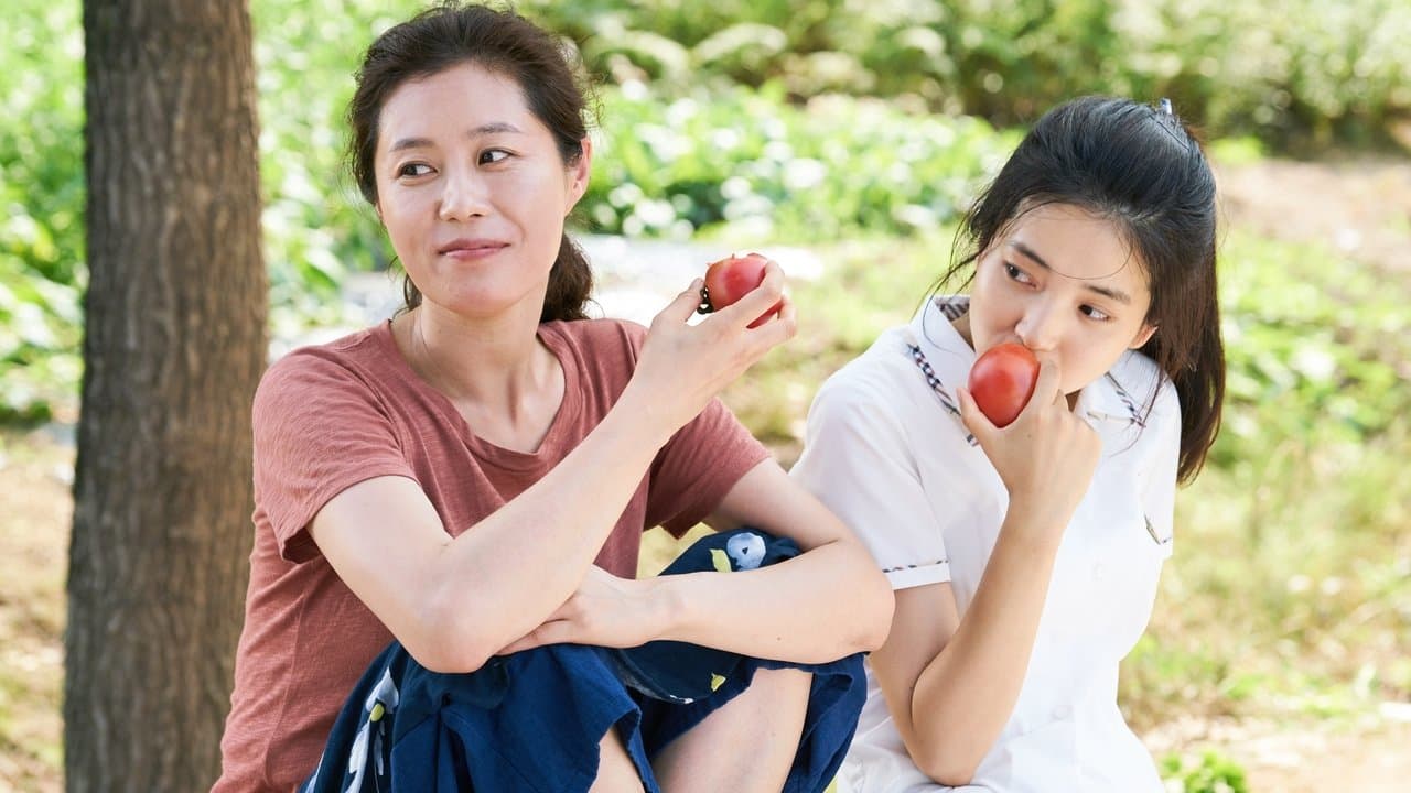 Petite Forêt backdrop