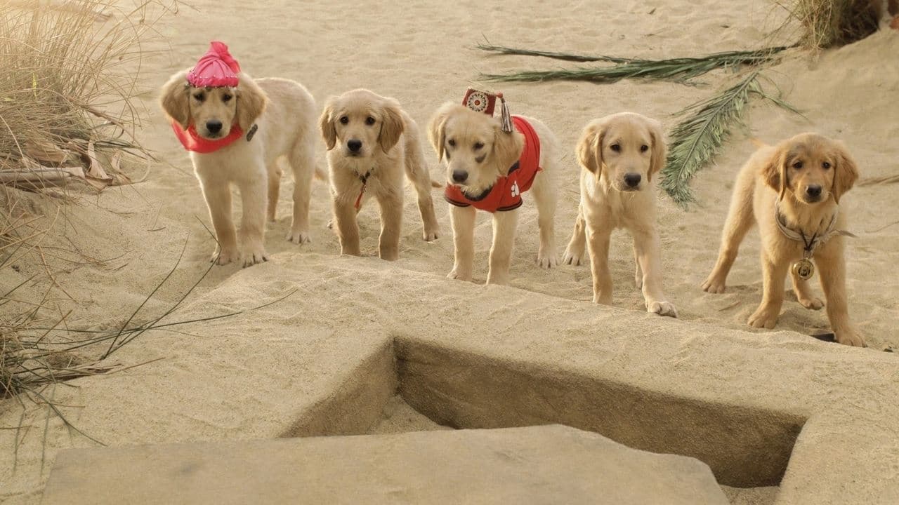 Les Copains chasseurs de trésor backdrop
