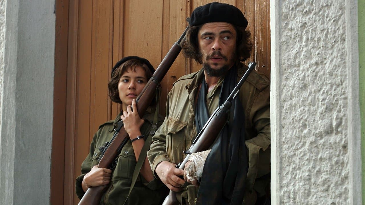 Che, 1re partie : L'Argentin backdrop