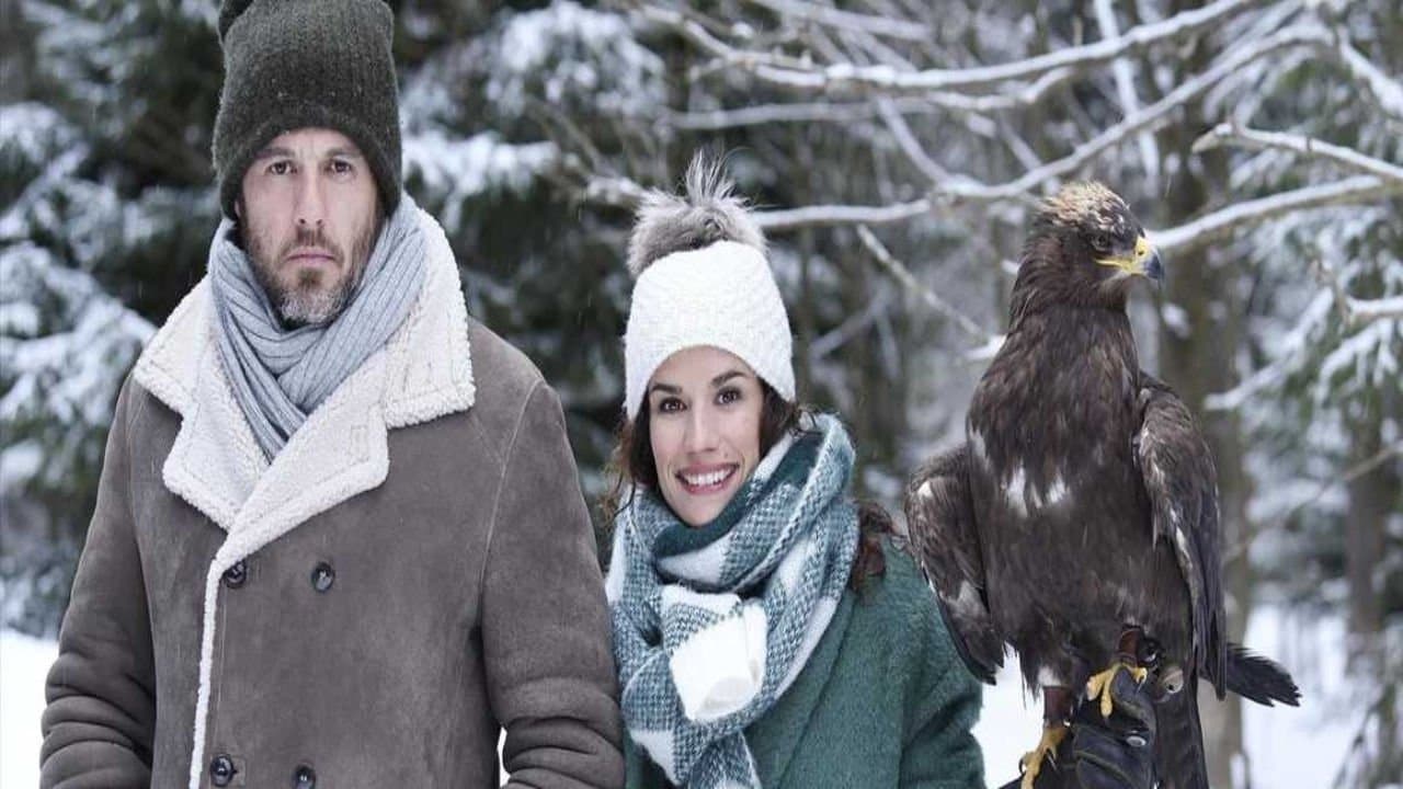 Coup de foudre sur un air de Noël backdrop