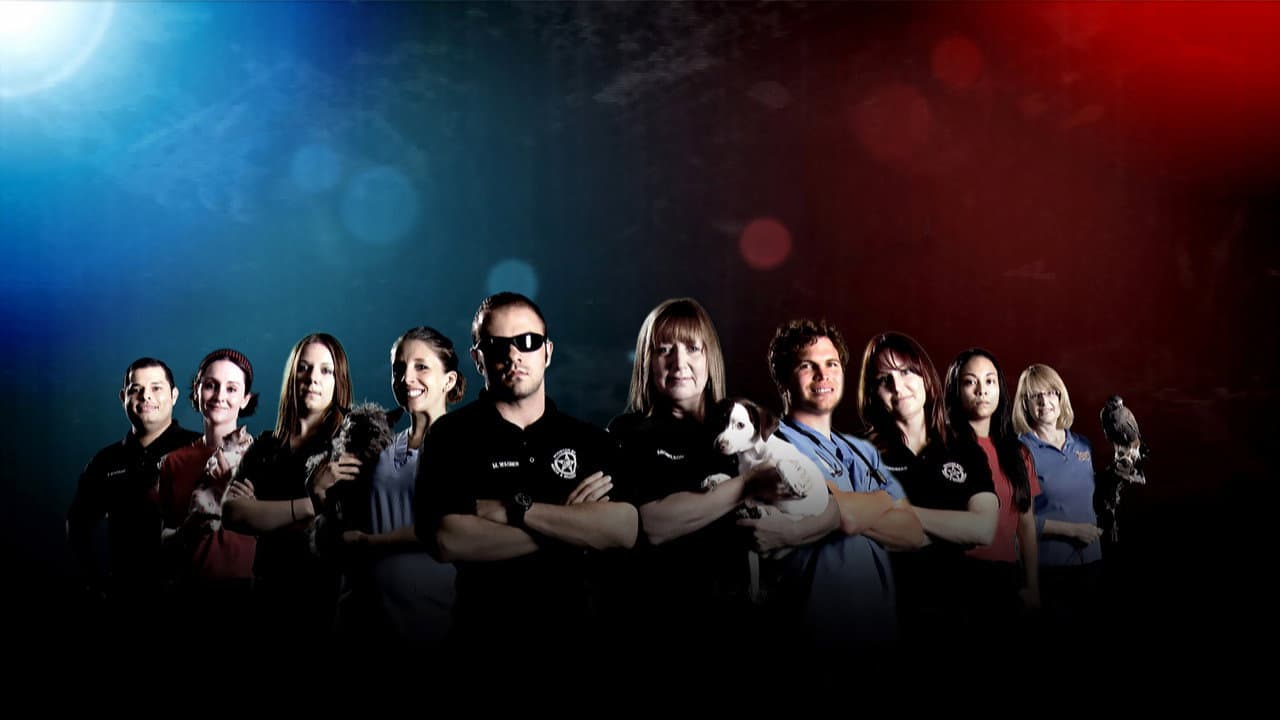 Animal Cops : Houston backdrop