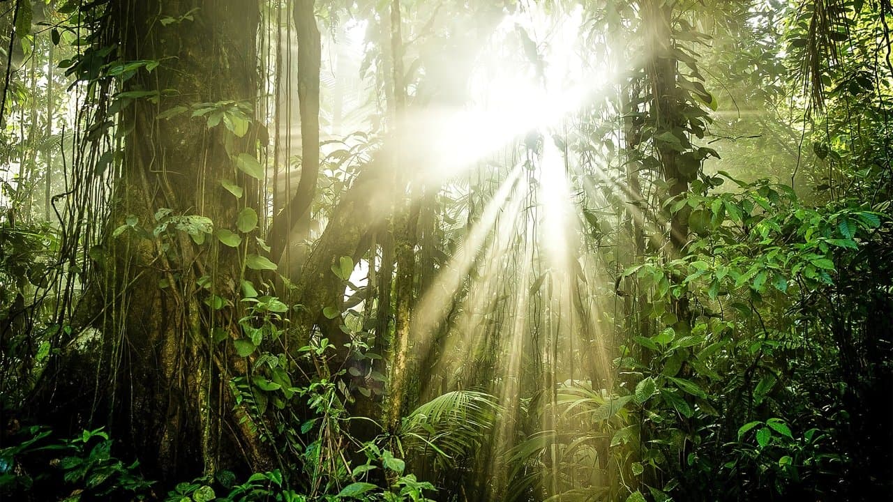 Les superpouvoirs des plantes backdrop