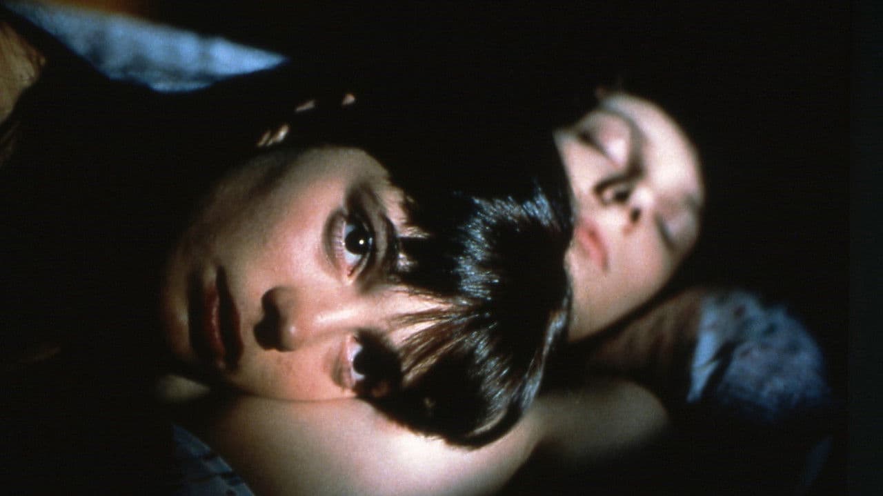 Les Amants du cercle polaire backdrop