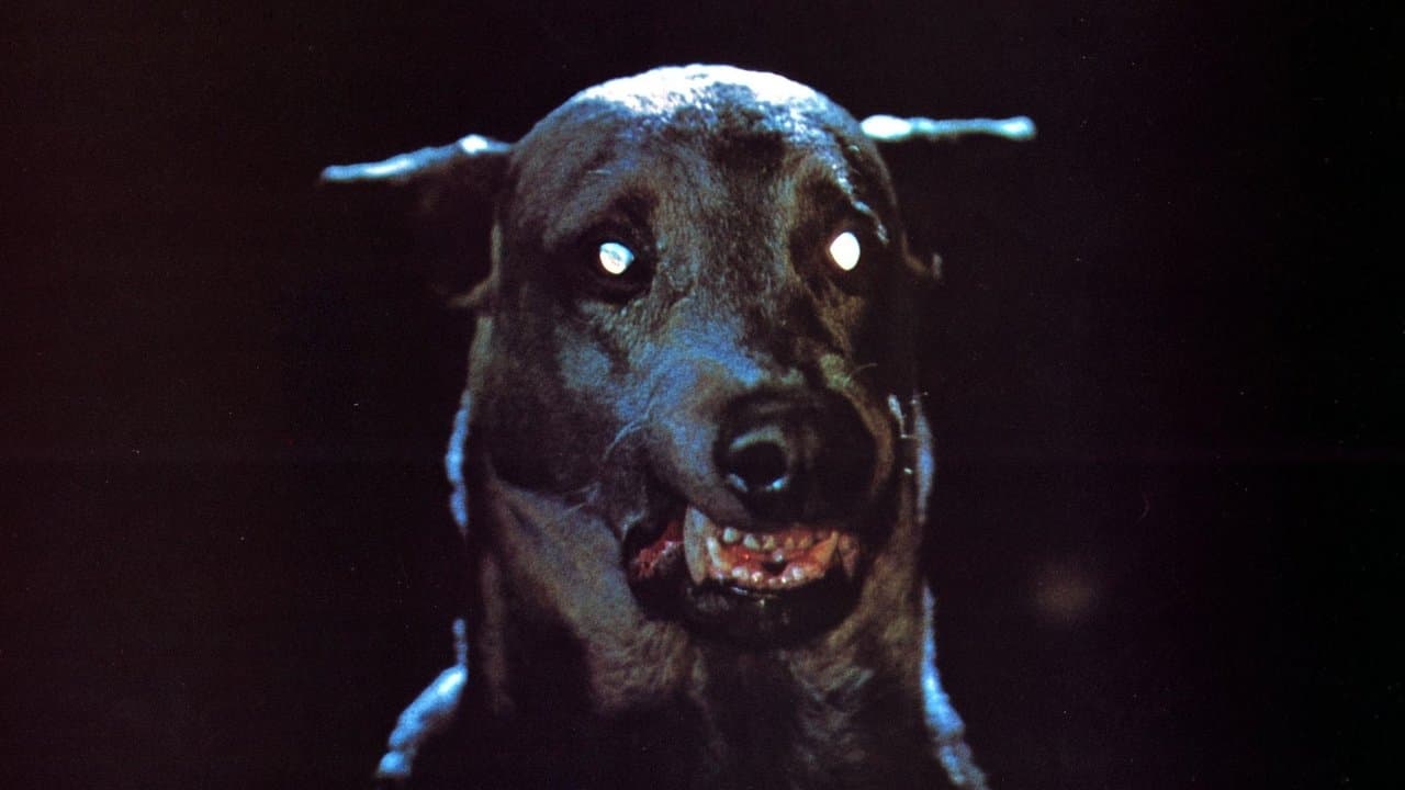 Zoltan, le chien sanglant de Dracula backdrop