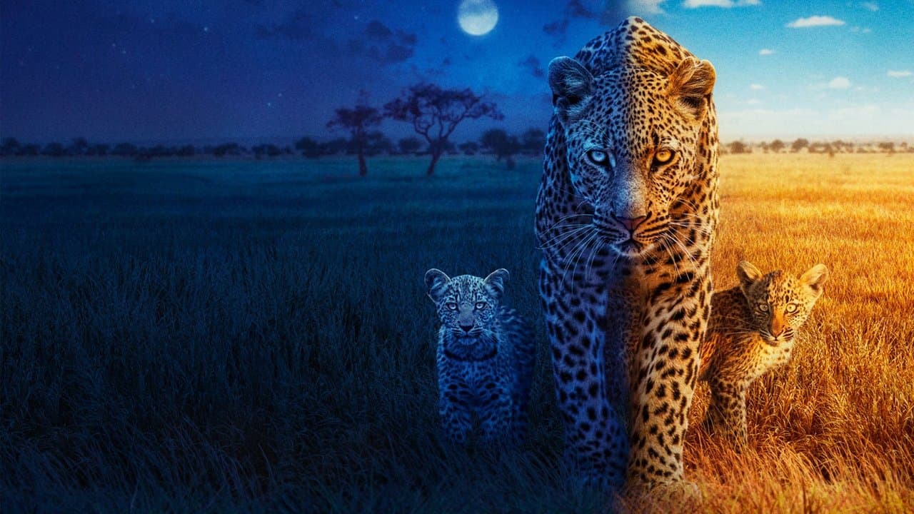 Sur la terre des grands félins backdrop