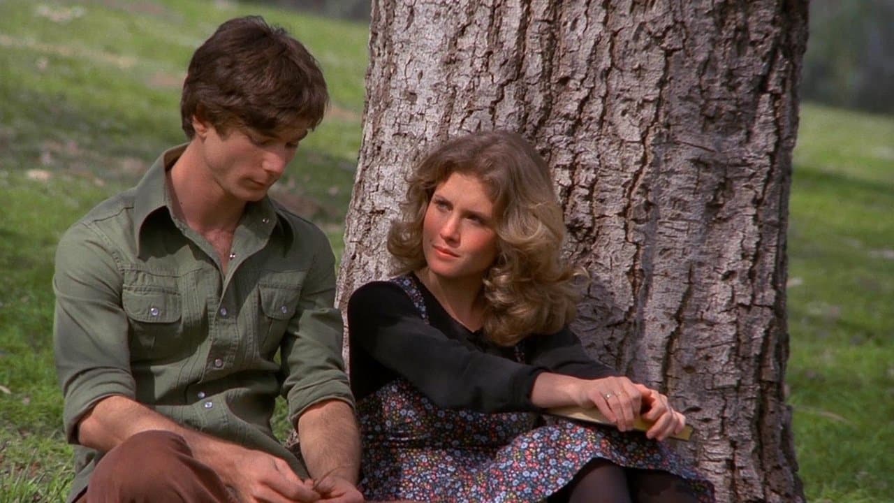 Les Baskets se déchaînent backdrop