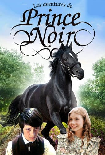 Les Aventures de Prince Noir poster