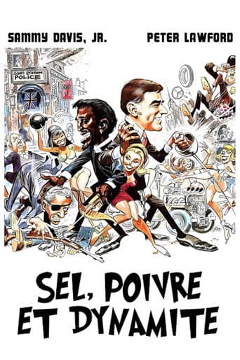 Sel, poivre et dynamite poster
