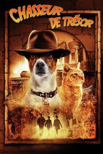 Chasseur de trésor poster