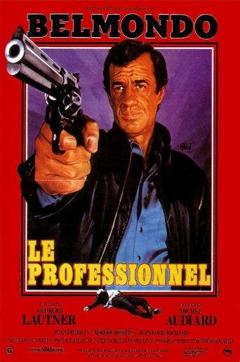 Le Professionnel poster