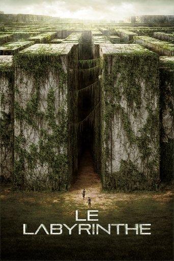 Le Labyrinthe poster