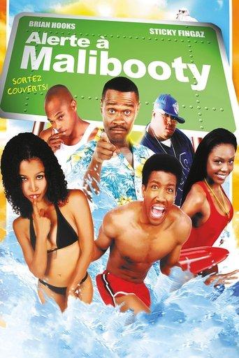 Alerte à Malibooty poster