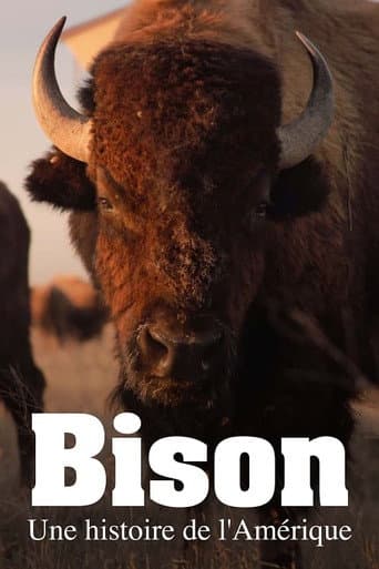 Bison : une histoire de l'Amérique poster