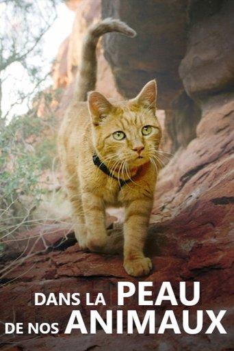 Dans la peau de nos animaux poster