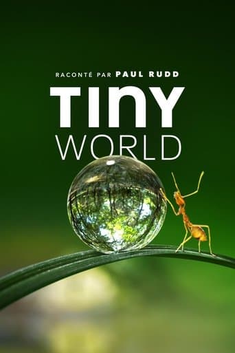 Tiny World poster
